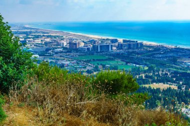 Carmel sahil alanı, Hayfa