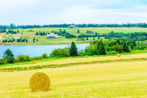 Landsbygd och höstackar nära French River, Pei — Stockfoto