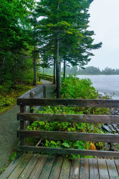 Plaża ingonish w parku narodowym Cape Breton Highlands — Zdjęcie stockowe