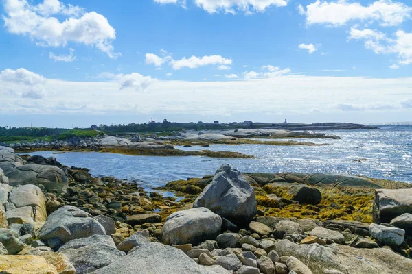 Rocky shore with Peggys Cove in the background — Stock Photo, Image