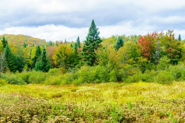 Riviere du Nord in Val-David, Laurenziano — Foto Stock