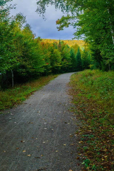 Sentiero pedonale e colori fogliame caduta, nel Mont Tremblant National Par — Foto Stock