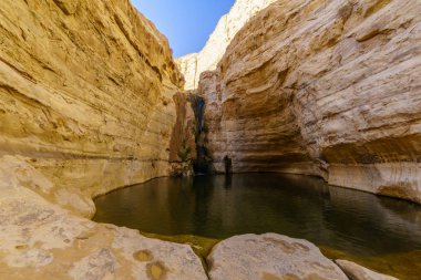 Ein Avdat Milli Parkı Kanyonu, Negev Çölü