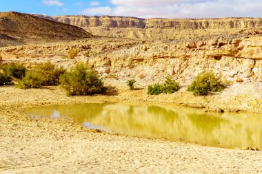 Makhtesh (krater) Ramon su birikintisi ve peyzaj