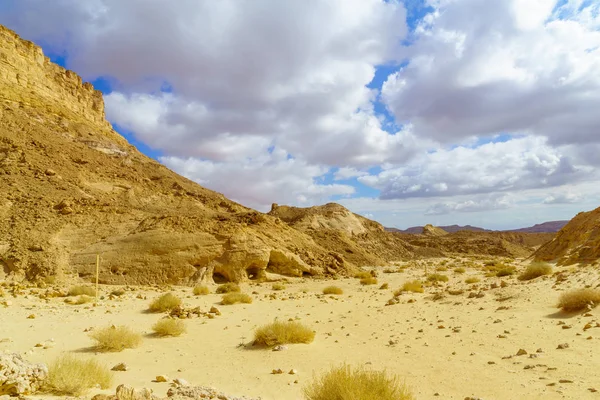 Acantilados del monte Ardon, parte de Makhtesh (cráter) Ramón — Foto de Stock