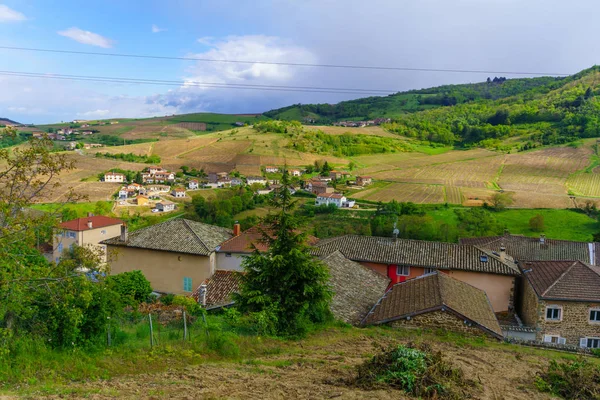 Viñedos y campo en Beaujolais, con el pueblo Vaux-e — Foto de Stock