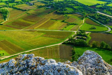 Üzüm bağları ve kırsal, Solutre Kayası, Burgundy