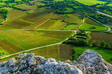 Vineyards and countryside, from the Rock of Solutre, Burgundy clipart