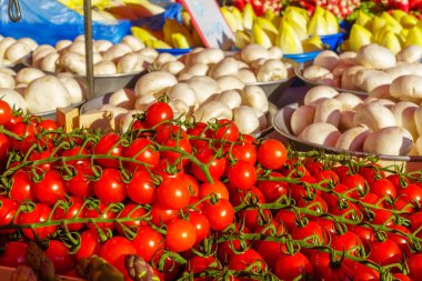 Bir Fransız pazarında satılık Vegtables