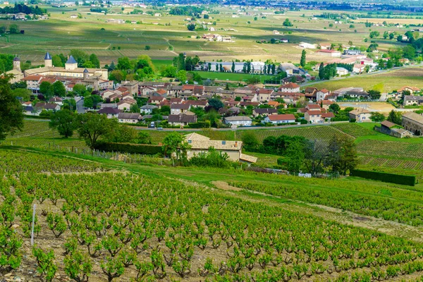 Viñedos y campo en Beaujolais, con el pueblo de Saint - — Foto de Stock