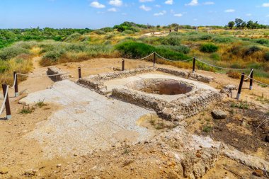 Apollonia Ulusal Parkı 'nda (Tel Arsuf), Herzliya, İsrail