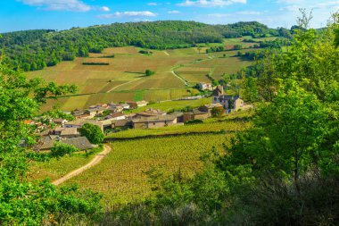 Saone-et-Loire bölümünde, Burgundy, Fransa'da Solutre Kayası'ndan (la roche) izlenen üzüm bağları ve kırsal arazi
