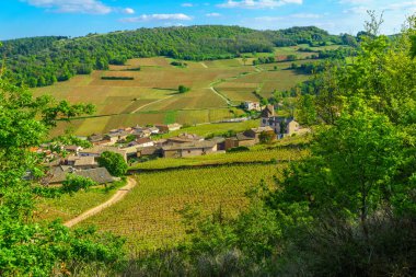 Landscape of vineyards and countryside, viewed from the Rock of Solutre (la roche), in Saone-et-Loire department, Burgundy, France clipart