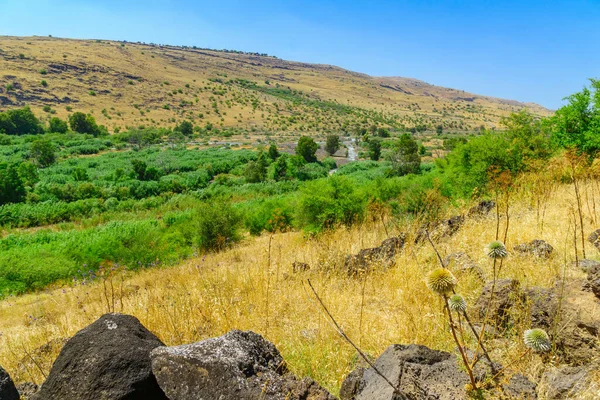 View of the Jordan valley and the Jordan River, a little north of the Sea of Galilee. Northern Israel