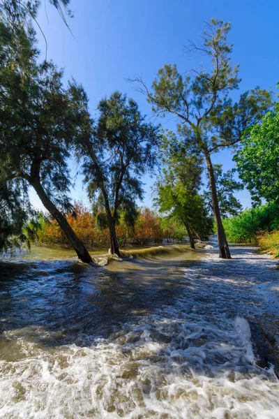 Vista Della Riva Orientale Del Mare Galilea Con Alto Livello — Foto Stock