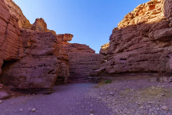 Uitzicht Rode Canyon Woestijn Vallei Gesneden Rode Rotsen Eilat Mountains — Stockfoto