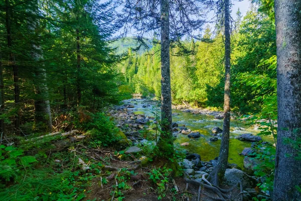 Widok Rzekę Sainte Anne Nord Park Narodowy Gaspesie Półwysep Gaspe — Zdjęcie stockowe