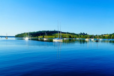 Lunenburg Limanı, Nova Scotia 'da sabah manzarası ve yeşil bir tepe