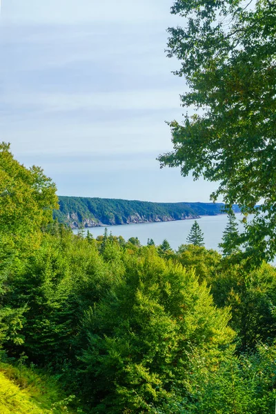 Vista Paisagem Costeira Fundy Trail Parkway Park New Brunswick Canadá — Fotografia de Stock