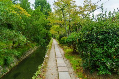 Japonya 'nın Kyoto şehrinde Filozofların Yolu (Tetsugaku no michi) Görünümü