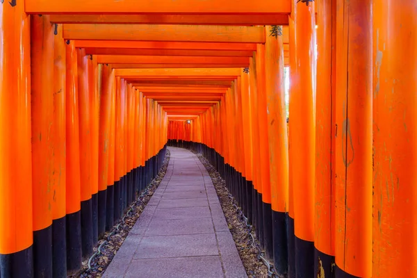 Vista Sendero Puertas Torii Arriba Montaña Inari Kyoto Japón —  Fotos de Stock