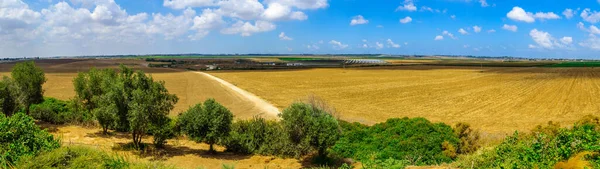 Shafir山谷的全景景观和农村景观 来自Moshiko Rom观景台 以色列南部 — 图库照片