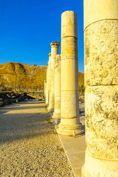 Blick Auf Den Rekonstruierten Cardo Palladiusstraße Der Antiken Römisch Byzantinischen — Stockfoto