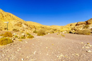 Nahal Shani (Kızıl Kanyon yakınlarındaki çöl vadisi) manzarası. Eilat Dağları, Güney İsrail.