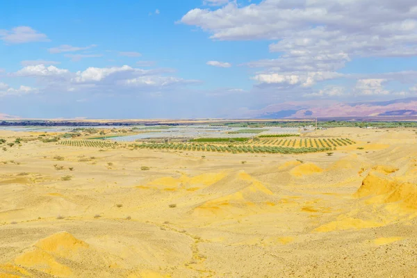 Ökenlandskap Sheizaf Naturreservat Arava Öknen Södra Israel — Stockfoto