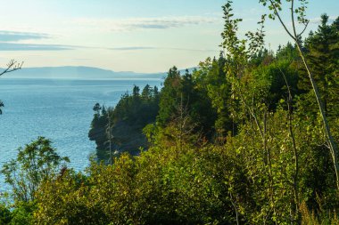 Forillon Ulusal Parkı, Gaspe Yarımadası, Quebec, Kanada 'nın güney sektöründeki orman ve okyanus manzarası