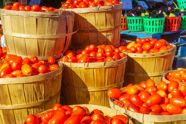 Tomates Otras Verduras Venta Mercado Jean Talon Market Little Italy —  Fotos de Stock