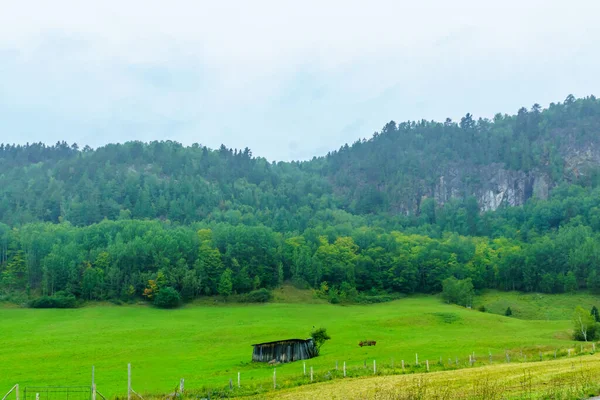 カナダ ケベック州サント ローズ ノールのサゲナイ フィヨルド沿いの風景 — ストック写真