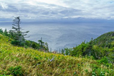 Cape Breton Highlands Ulusal Parkı 'ndaki ufuk çizgisi manzarası, Nova Scotia, Kanada