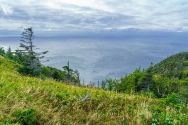 Views of the skyline trail, in Cape Breton Highlands National Park, Nova Scotia, Canada clipart