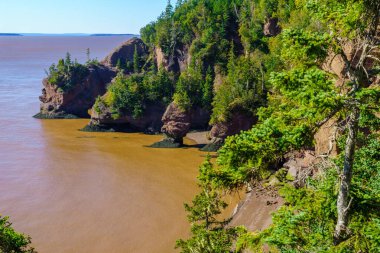 Hopewell Kayalıklarında yükselen gelgit manzarası, New Brunswick, Kanada