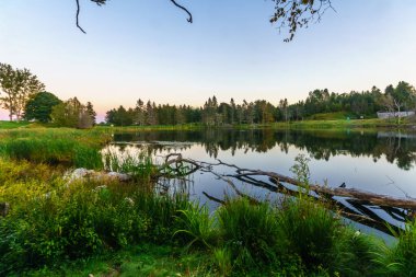 Fundy Ulusal Parkı, New Brunswick, Kanada 'daki MacLaren göletinin gün batımı manzarası