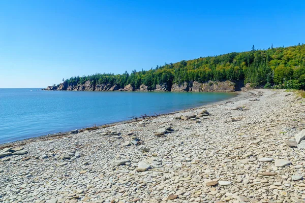 Utsikt Över Pebble Stranden Cape Enrage New Brunswick Kanada — Stockfoto