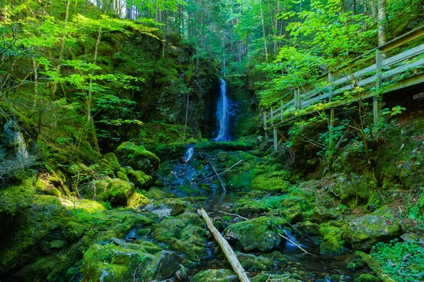 Utsikt Längs Dickson Falls Leden Fundy National Park New Brunswick — Stockfoto