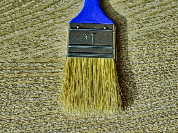 Blue paint brush on the wooden floor taken during sunny day