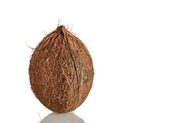 Beyaz bir yüzey üzerinde olgun hindistan cevizi.