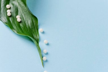 Homeopati konsepti. Yeşil yapraklı homeopatik toplar.