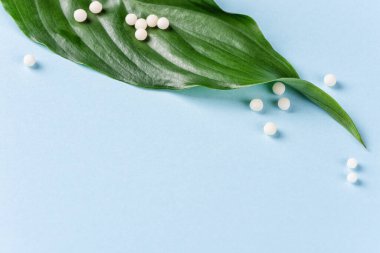 Homeopati konsepti. Yeşil yapraklı homeopatik toplar.