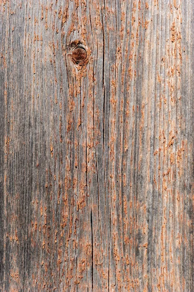 皮をむいた塗料の残留物と古い木の質感 — ストック写真