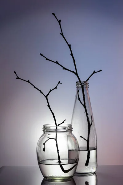 Stillleben Glas Zum Reinigen Glasgefäß Und Flasche Mit Zweigen Farbenfroher — Stockfoto