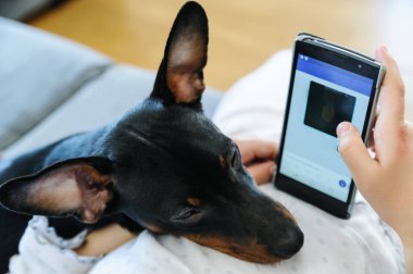 Kızın elleri akıllı bir telefon tutuyordu. Köpeğin kafası kızın karnının üstünde..