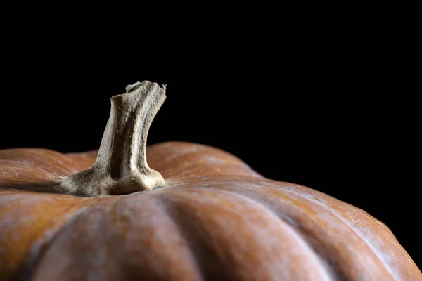 The pumpkin with a dry short stem on a black background. Close-up.