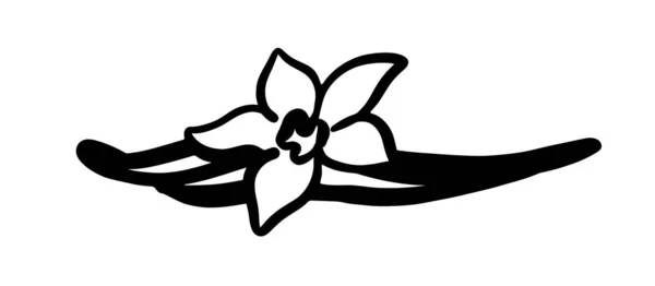 Vanille fleur vecteur noir sur fond blanc — Image vectorielle