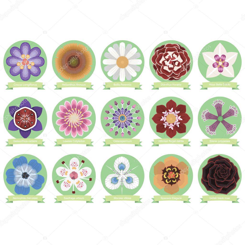 Set of flower icons