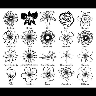 Collection of flower icons clipart