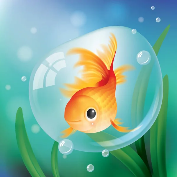 Goldfisch Einer Blase — Stockvektor